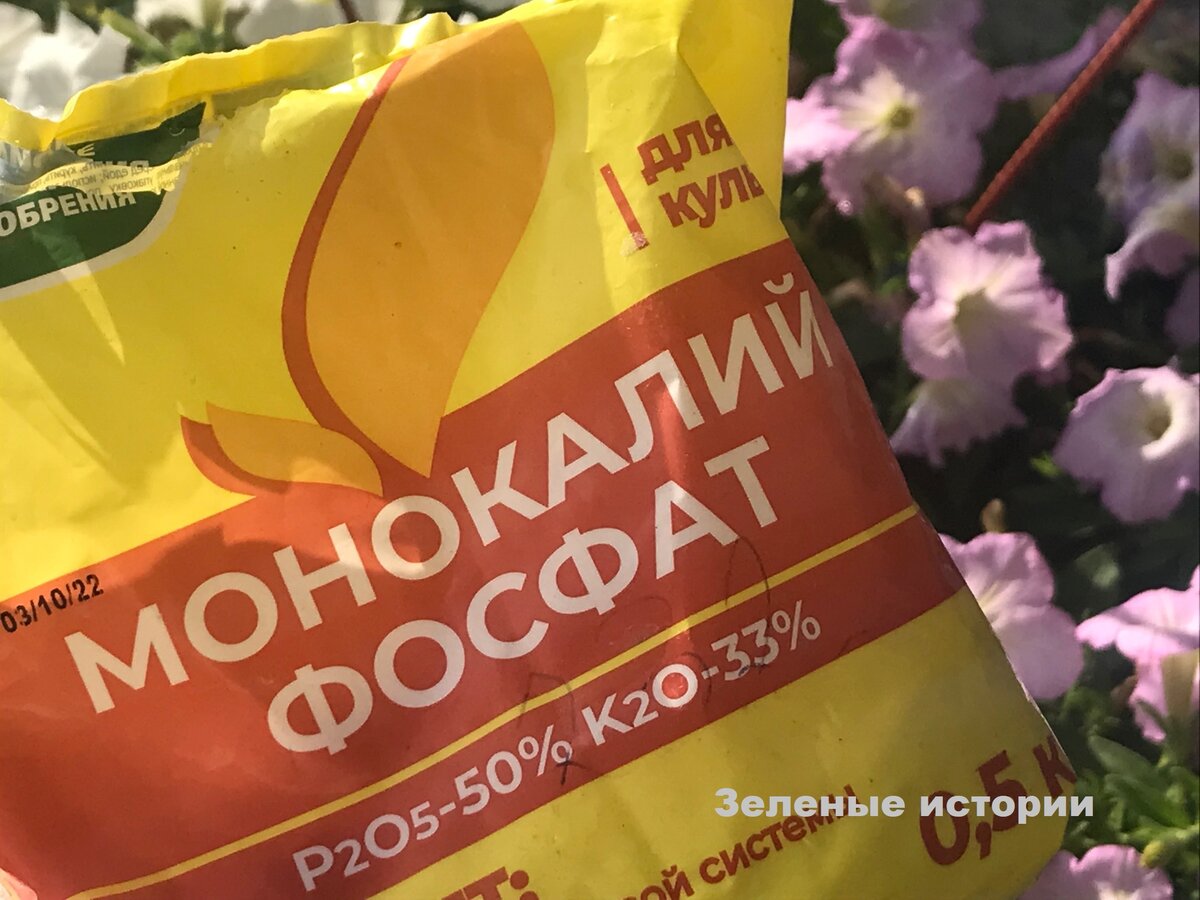 Моя схема подкормки петунии для пышного цветения | Зелёные истории | Дзен