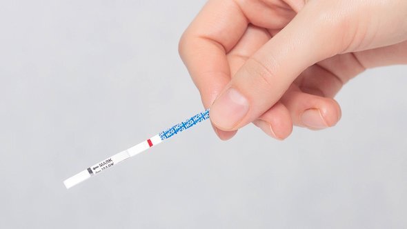    Фото: HenadziPechan / Shutterstock / Fotodom