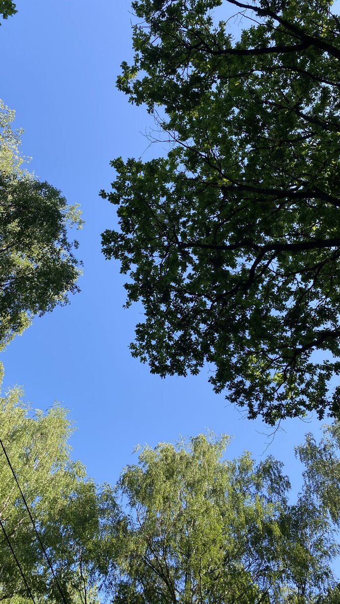 Фото из архива автора