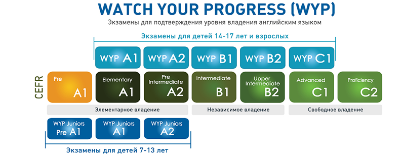 Уровни владения инструментом. Уровни владения программами. Владение английским языком. Уровни владения китайским. Уровни владения языками программирования.