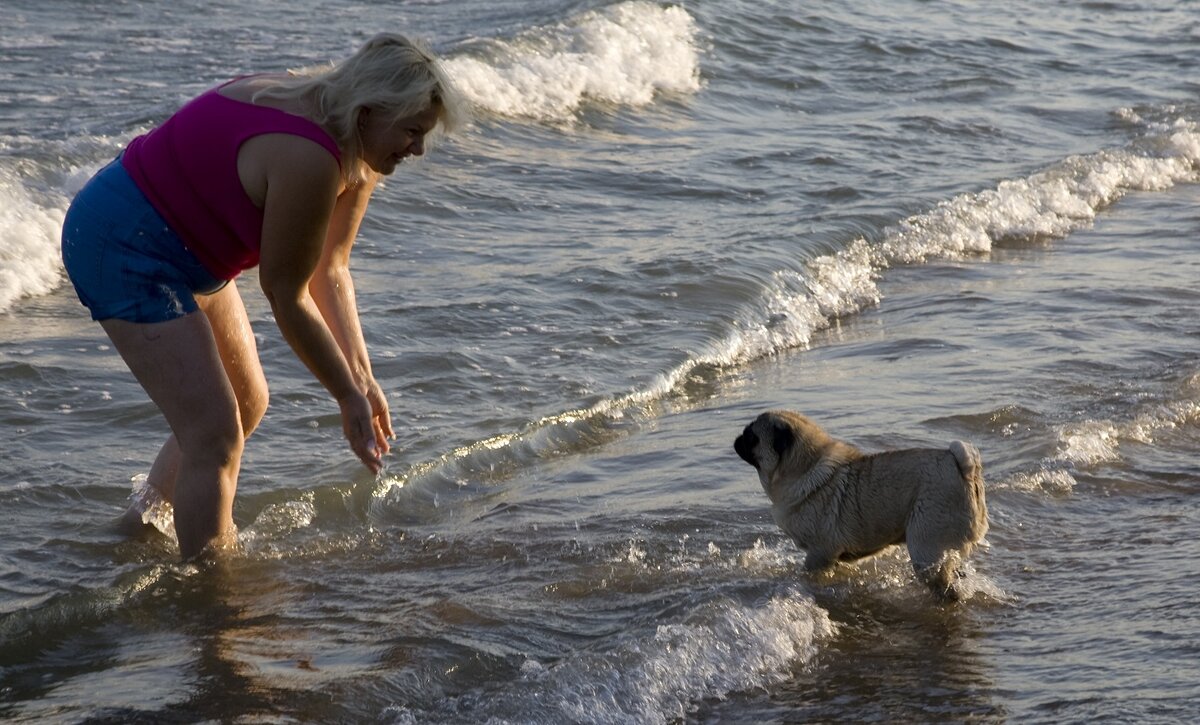 Туристов не испугало зеленое море.  Фото: Roman Denisov, Роман Денисов/Russian Look
