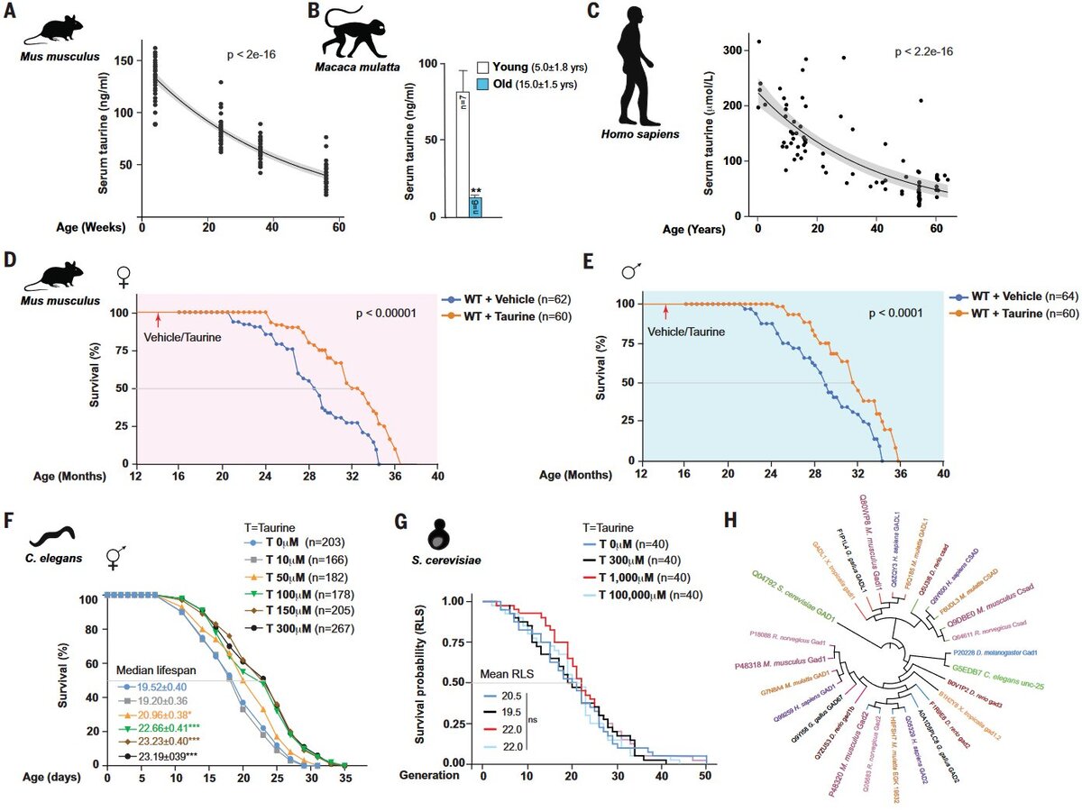   Parminder Singh et al. / Science, 2023