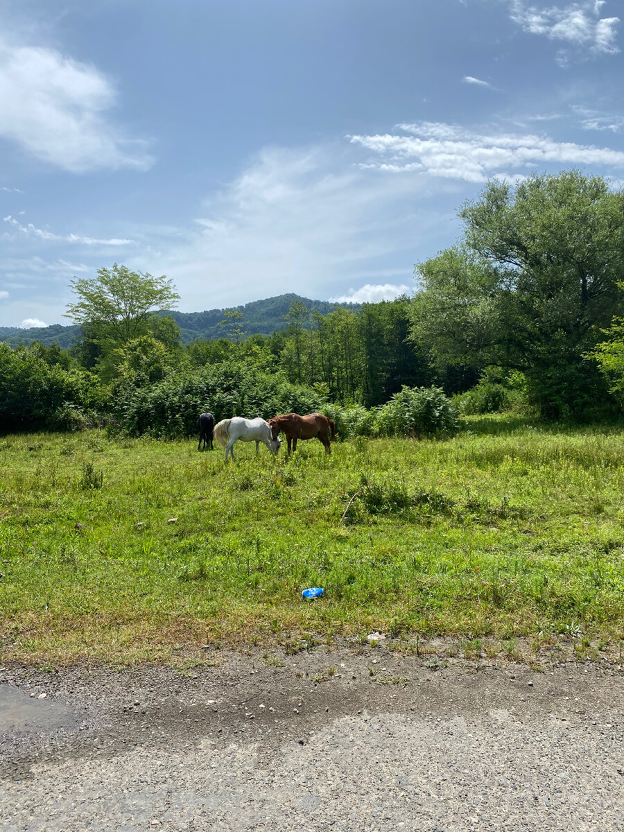 По дороге на Черниговку.