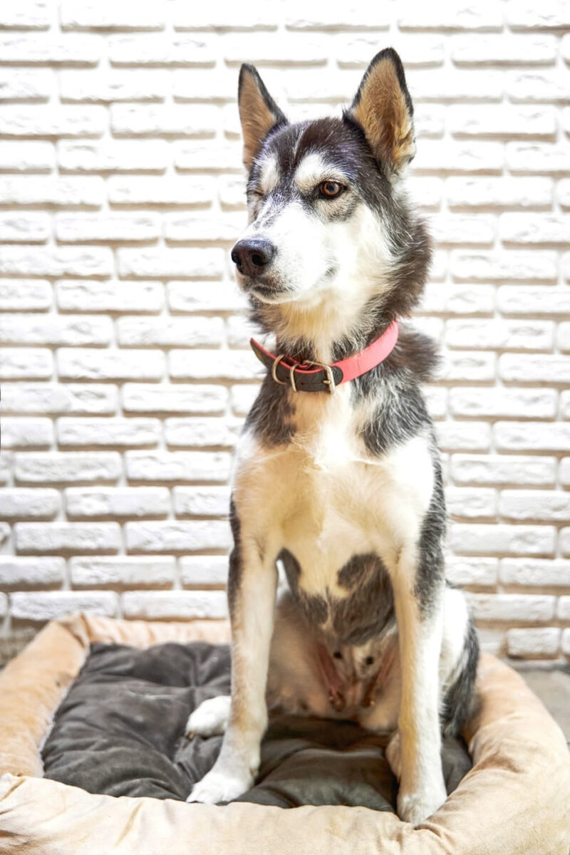 Гнойные истечения и воспаление кишечника мучали девочку...