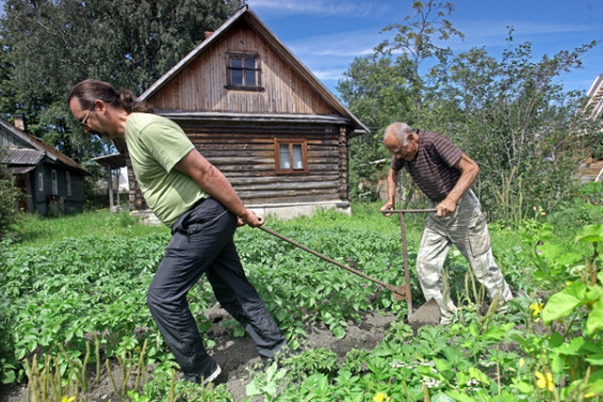 яндекс картинка