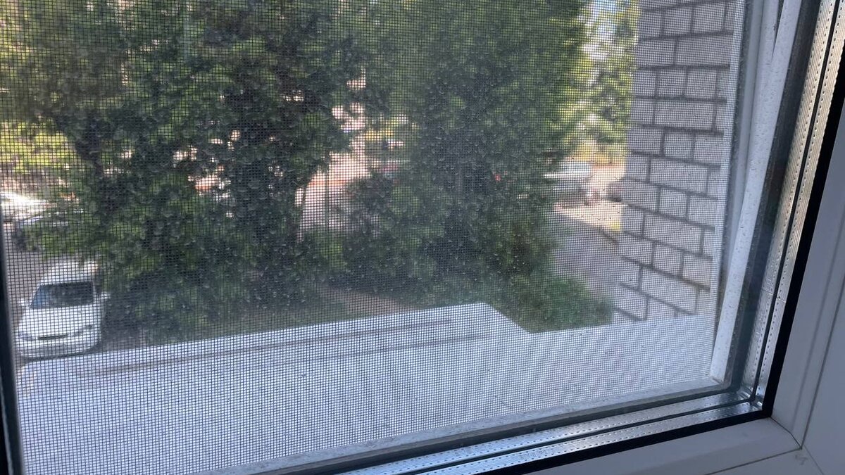 В нашей местности часто дует ветер, случаются пыльные бури, от этого окна постоянно грязные. А мне так не хочется делать работу, от которой не видно результата 