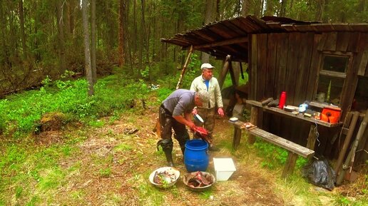 С Батей и Племяшом на Кордон.Живём Неделю в Тайге.Рыбачим на Лесных Озёрах.