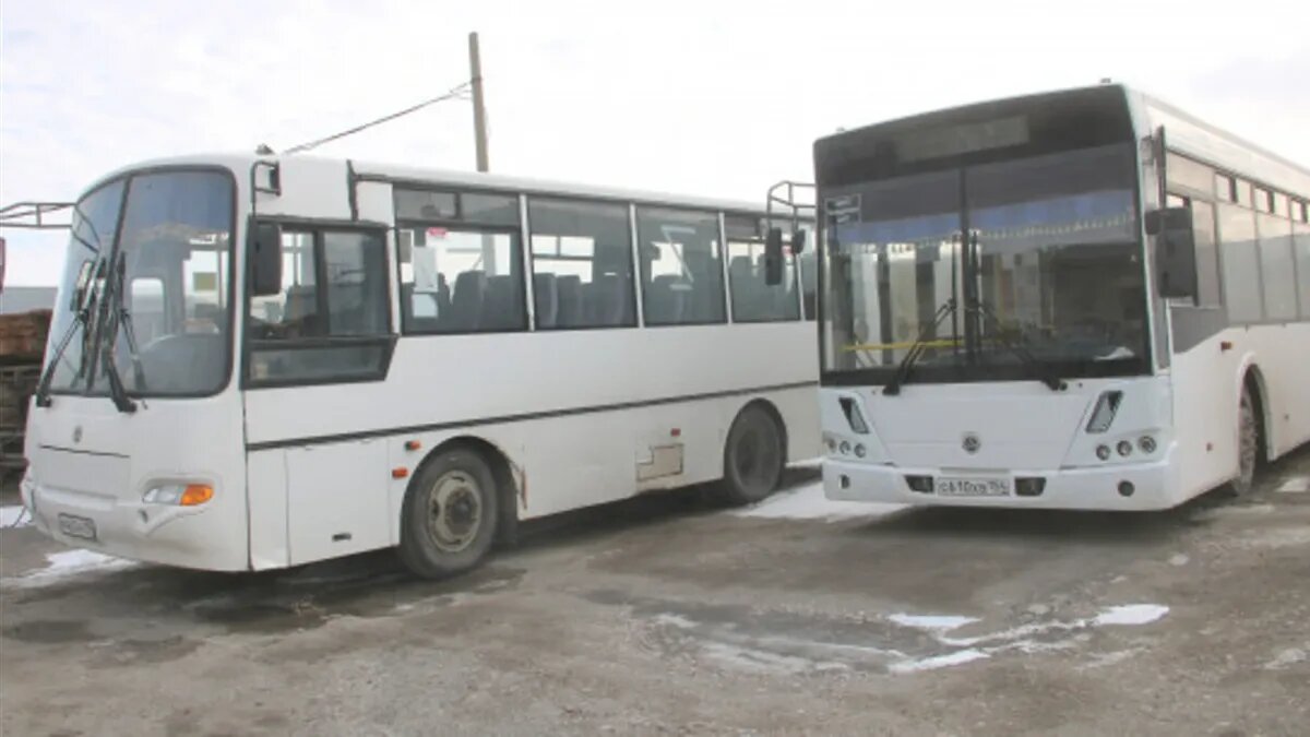 Фото: berdsk.nso.ru