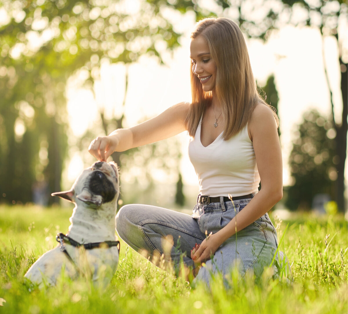 Secret for pets