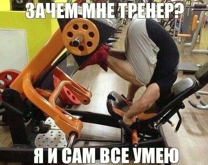Картинка взята из сети Интернет