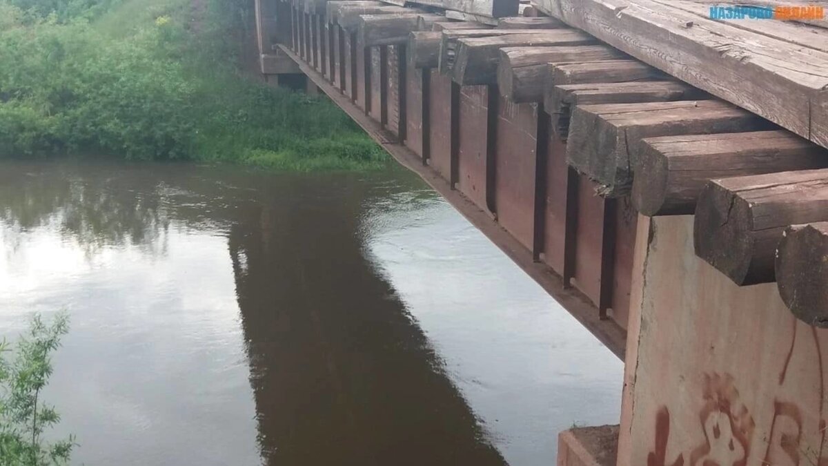     В селе Антропово Красноярского края змея укусила ребёнка.