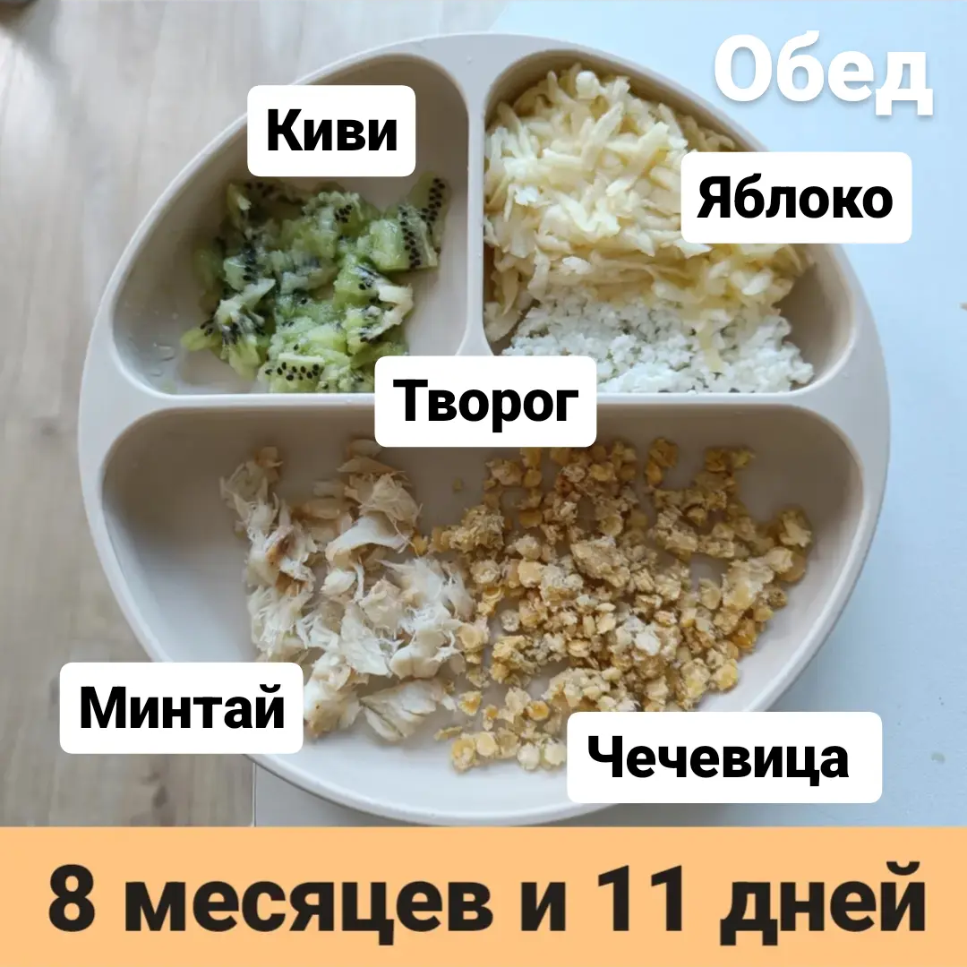 Пример тарелки в 8 месяцев 