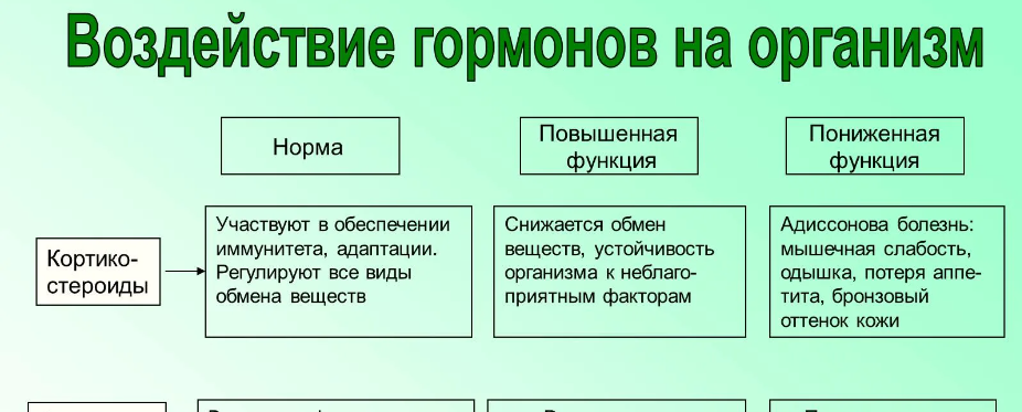 А чо инсулин, а? Вот КС - регулируют все виды обмена веществ. И понижают чувствительность к инсулину тоже. При повышенном уровне воспаления, стрессе и ожирении в организме повышаются КС, а они вон, как видно по картинке из интернета - понижают обмен веществ. Давайте пить нурофен для похудения, он же воспаление снижает, тогда и КС понизятся, да? М? (ШУТКА!!!) 