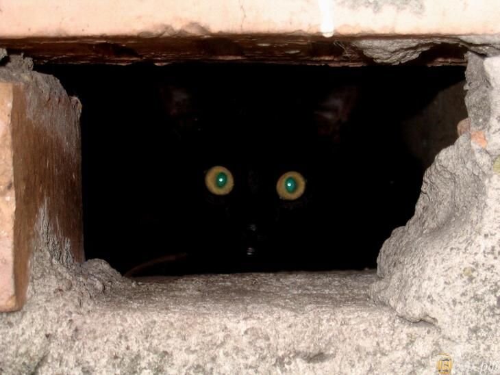 Из интернета