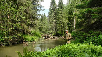 Рыбалка на небольшой лесной речке #433