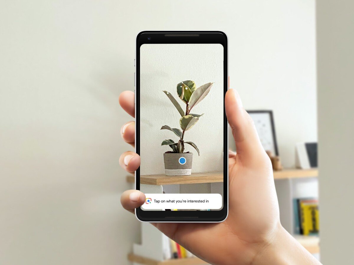 В Google Lens появилась функция диагностики заболеваний кожи | 4pda.to |  Дзен