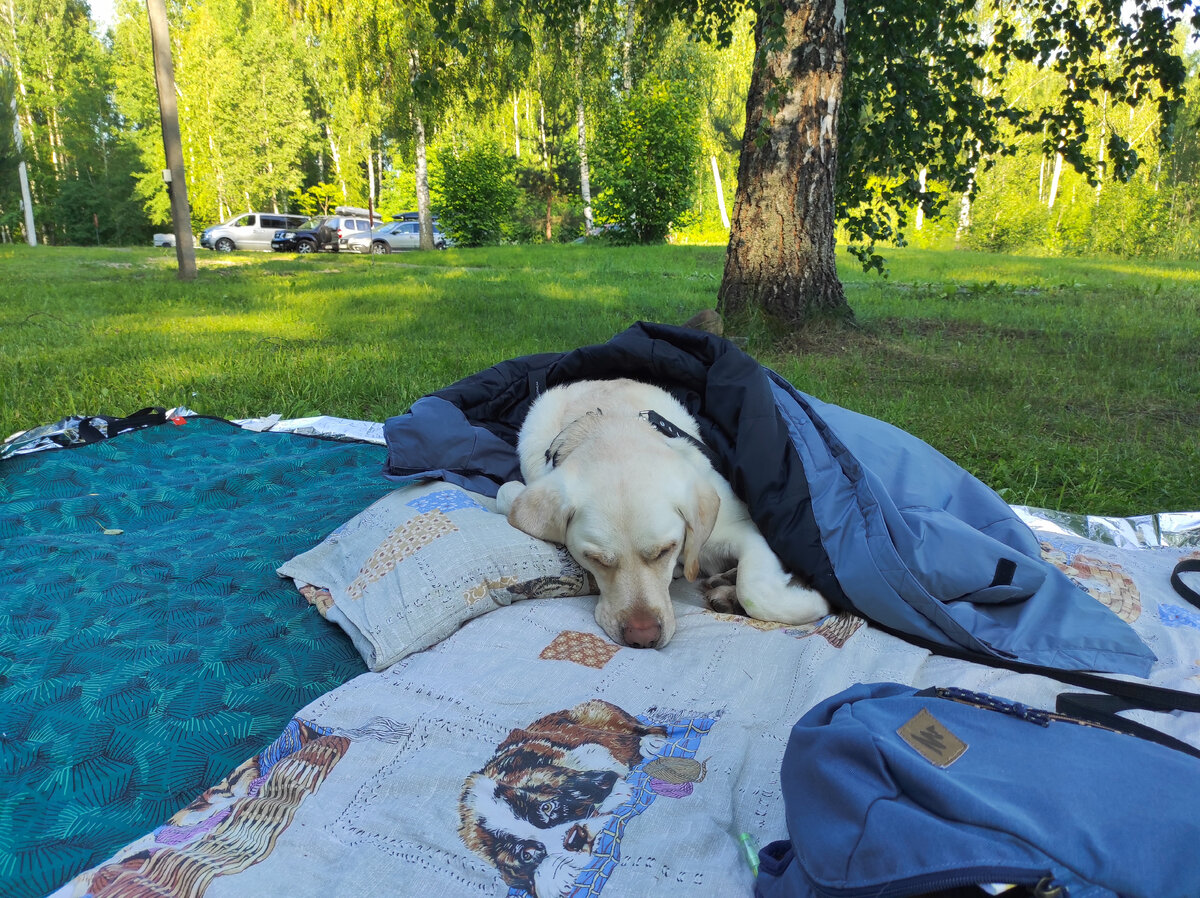 Здесь виден край фольги под покрывалом. Фольга тоненькая, но прочная, размерами около 2*1,5 м.