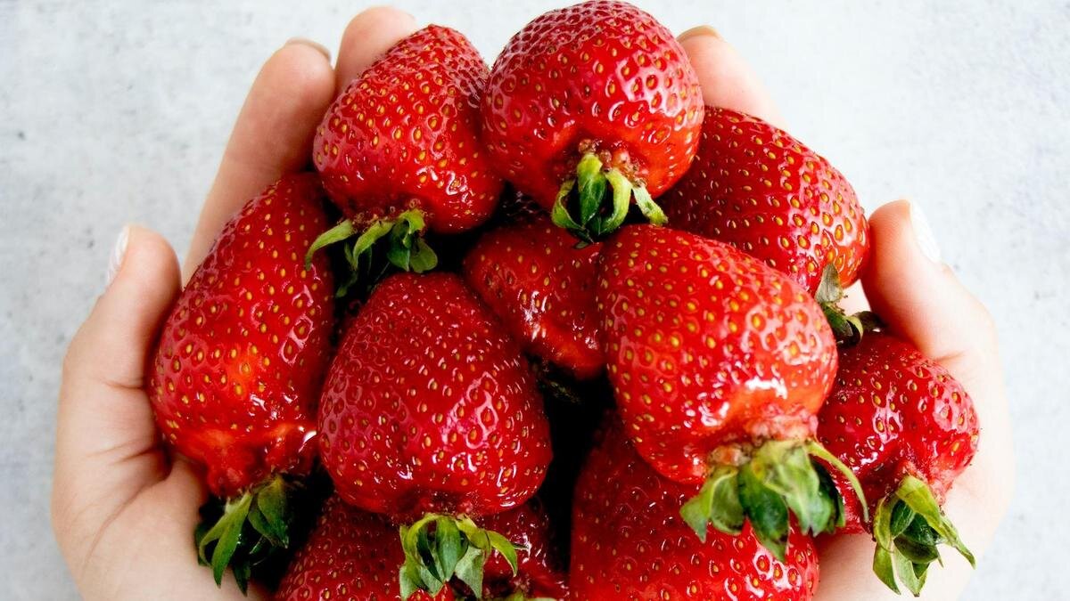    Клубника лежит в ладонях:Unsplash/Tetiana Bykovets
