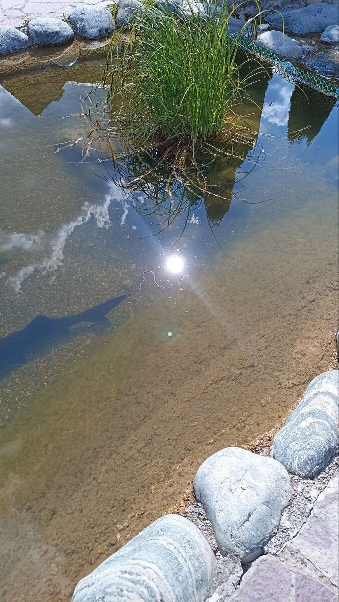 Листайте галерею