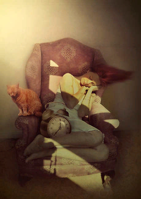 �������� - ������ ��������