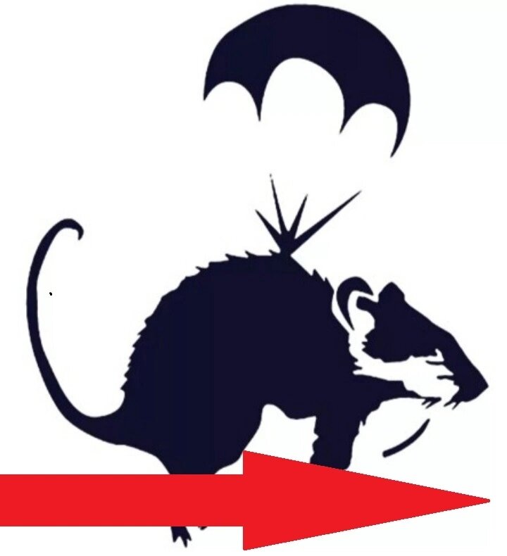 Улетай, крыса! 