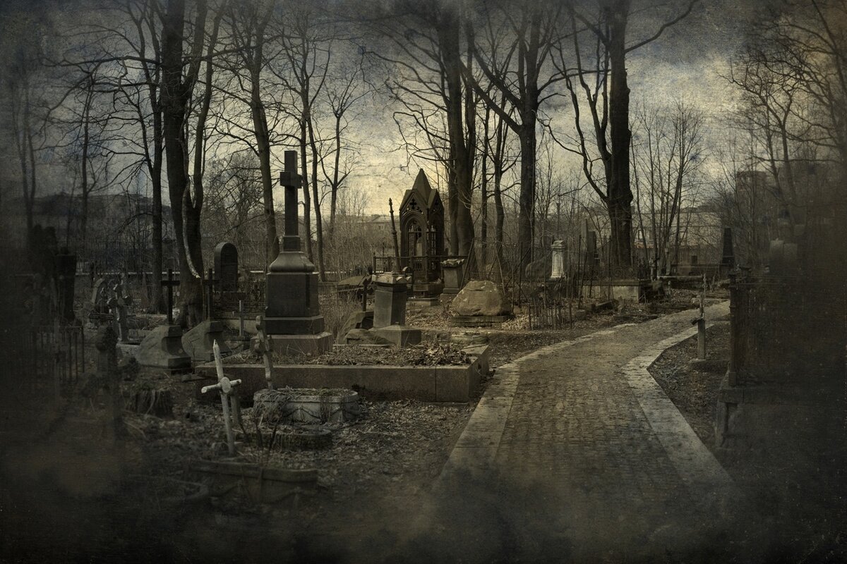 яндекс картинки