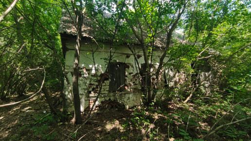 В жутких тамбовских дебрях обнаружил огромный заброшенный дом. Дверь в ...