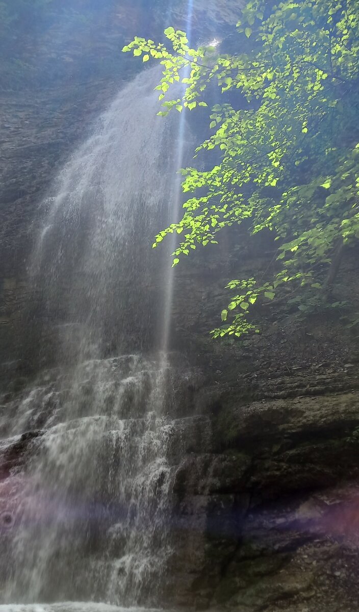 водопад игуасу материк. ревуны в игуасу. водопады руфабго адыгея. суток водопады. суток водопады.