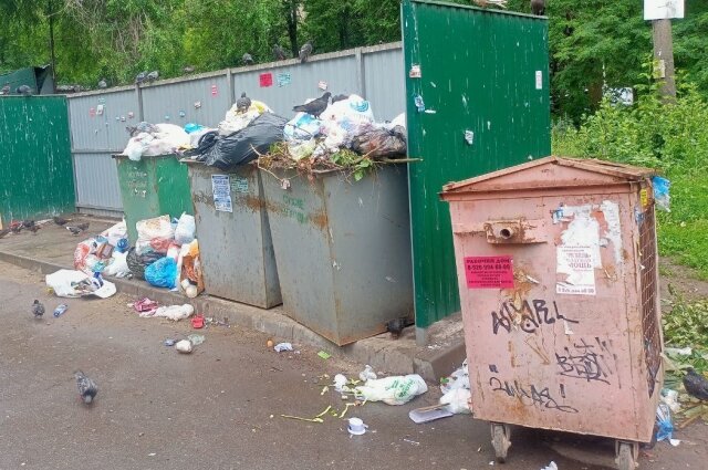    Фото:  АиФ/ Алена Курицына
