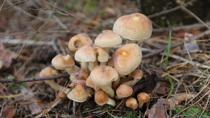 ФОТО: MAKSIM KONSTANTINOV/GLOBALLOOKPRESS