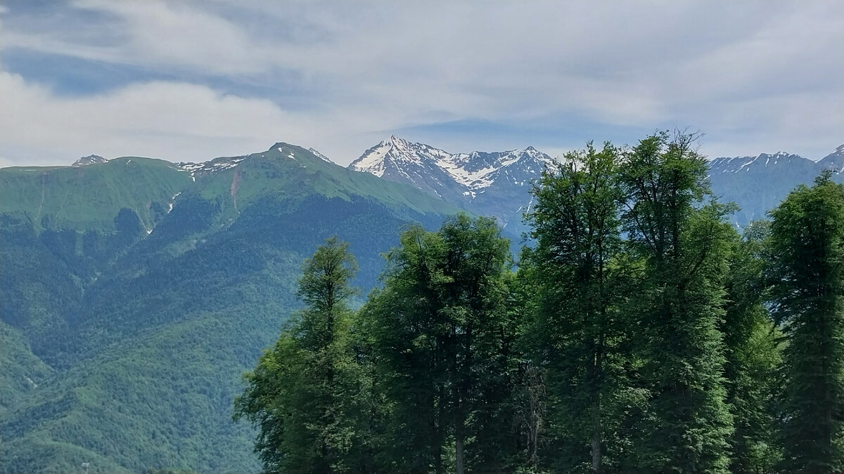 Волчья гора Тисуль