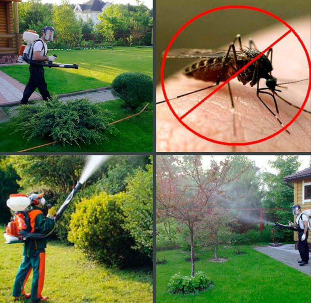 Как выбрать безопасные методы обработки