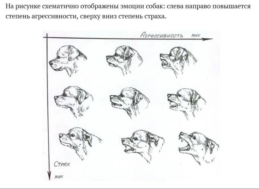 Поведение собак. Эмоции собак в картинках. Позы и мимика собак. Позы агрессии у собак. Собака эмоции рисунок.