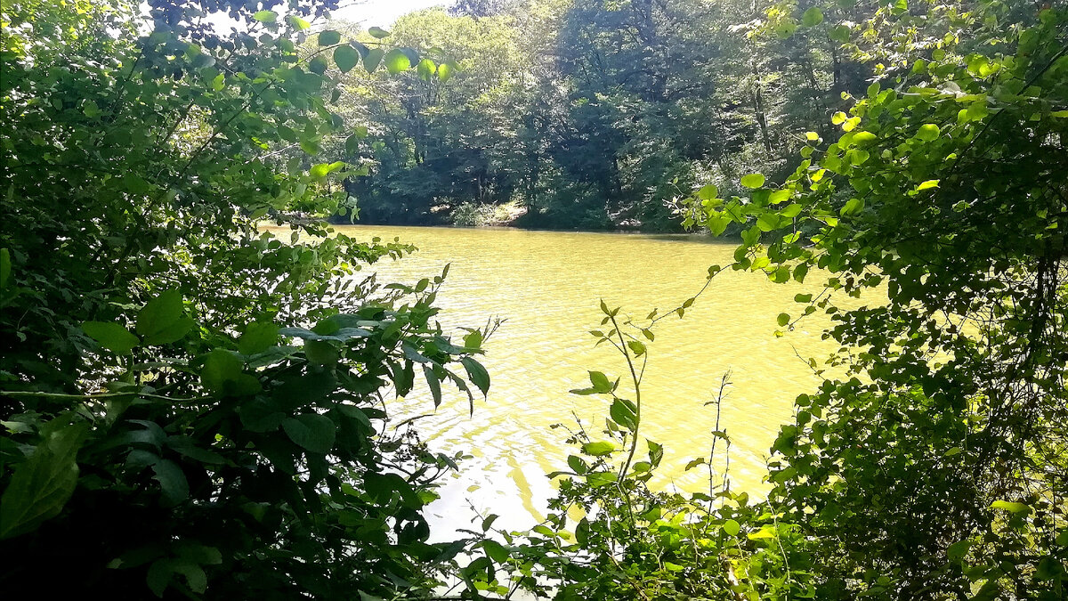 Министерские озера в городе Сочи