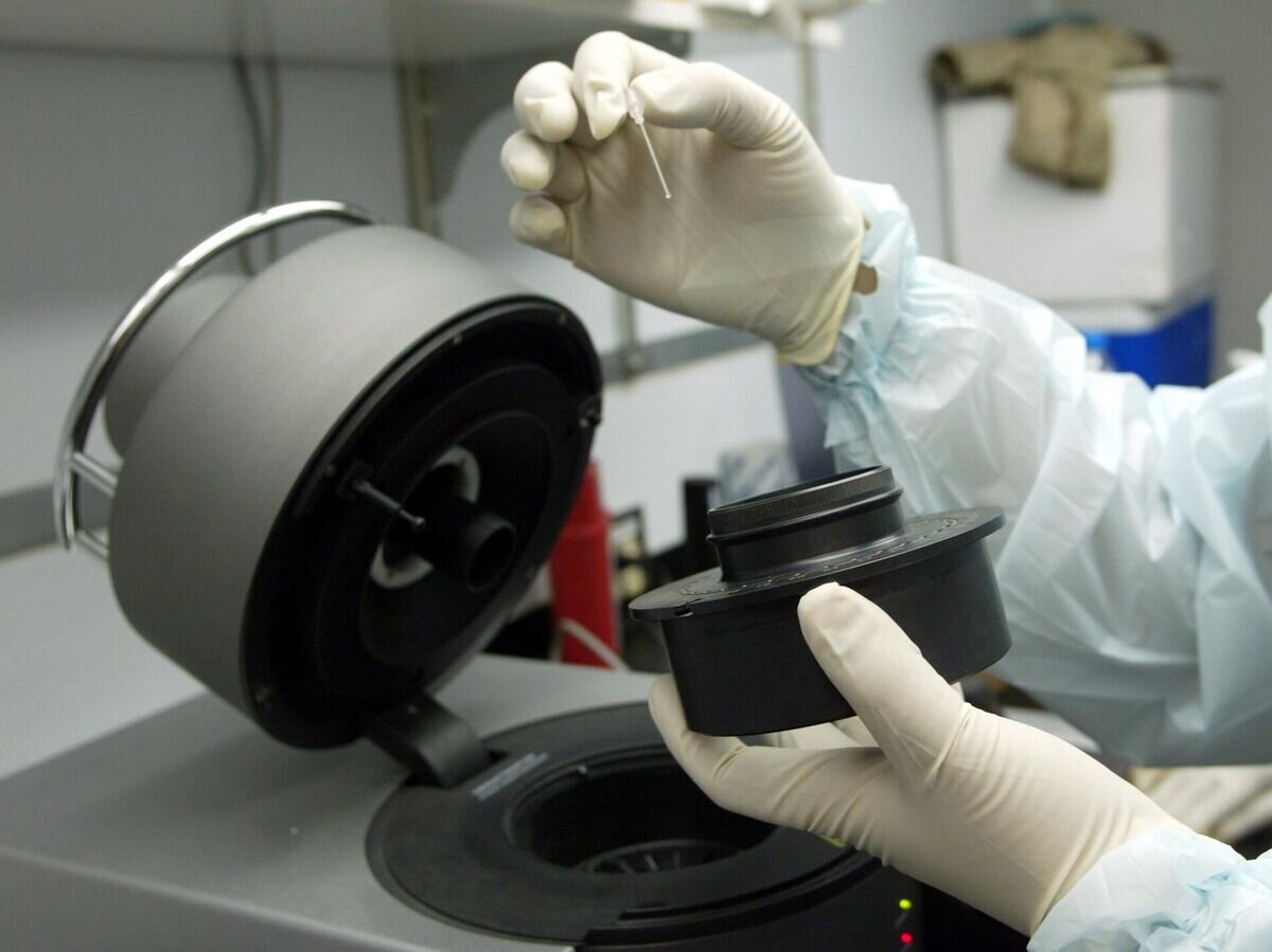    Американский биолог тестирует образцы ДНК на одном из военных объектов США под Багдадом. 9 мая 2003© AP Photo / Murad Sezer