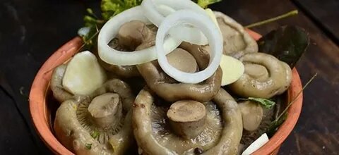 Вкусно выглядит. Если бы грибы умели говорить - чтобы они сказали? ) Фото из яндекс.