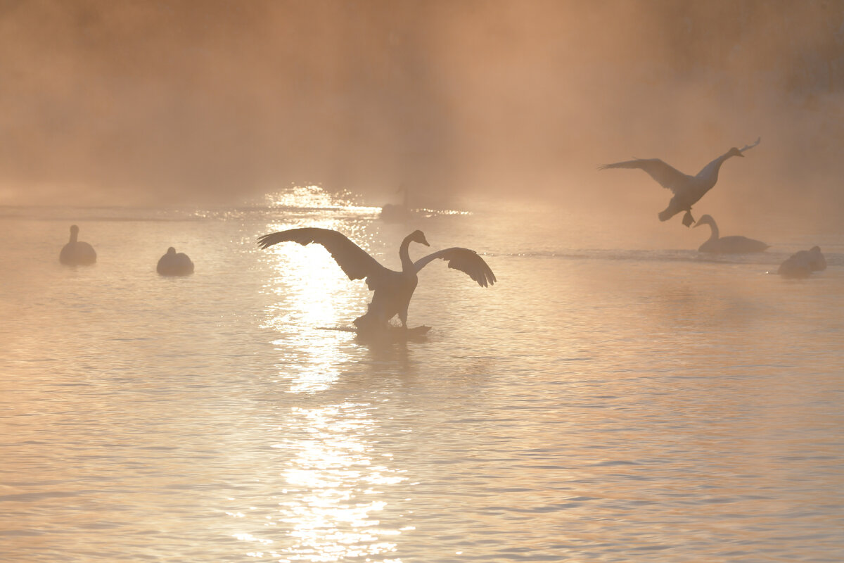 Сегодня будет туманная подборка кадров для вас ;)))