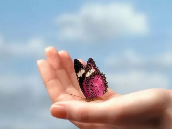 Добавьте описание