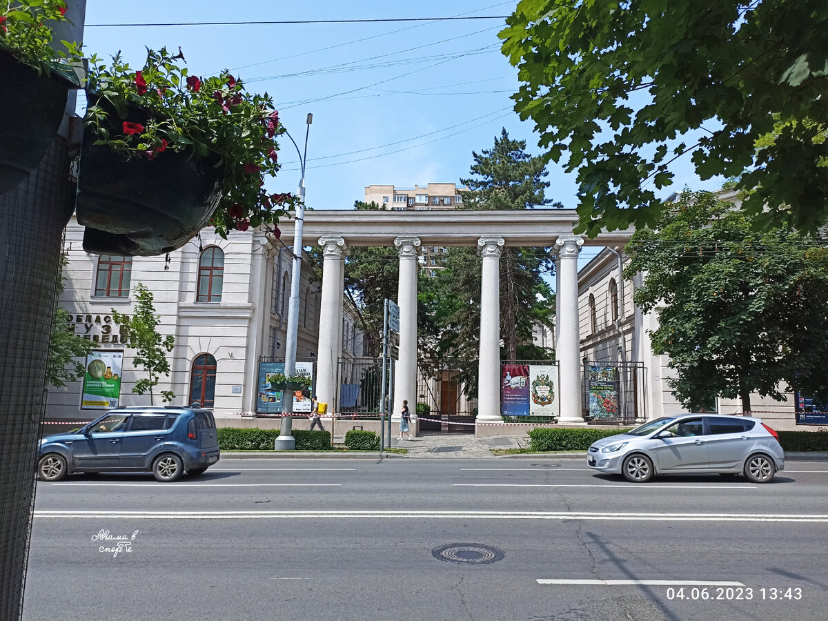 Областной музей краеведения города Ростова-на-Дону. 