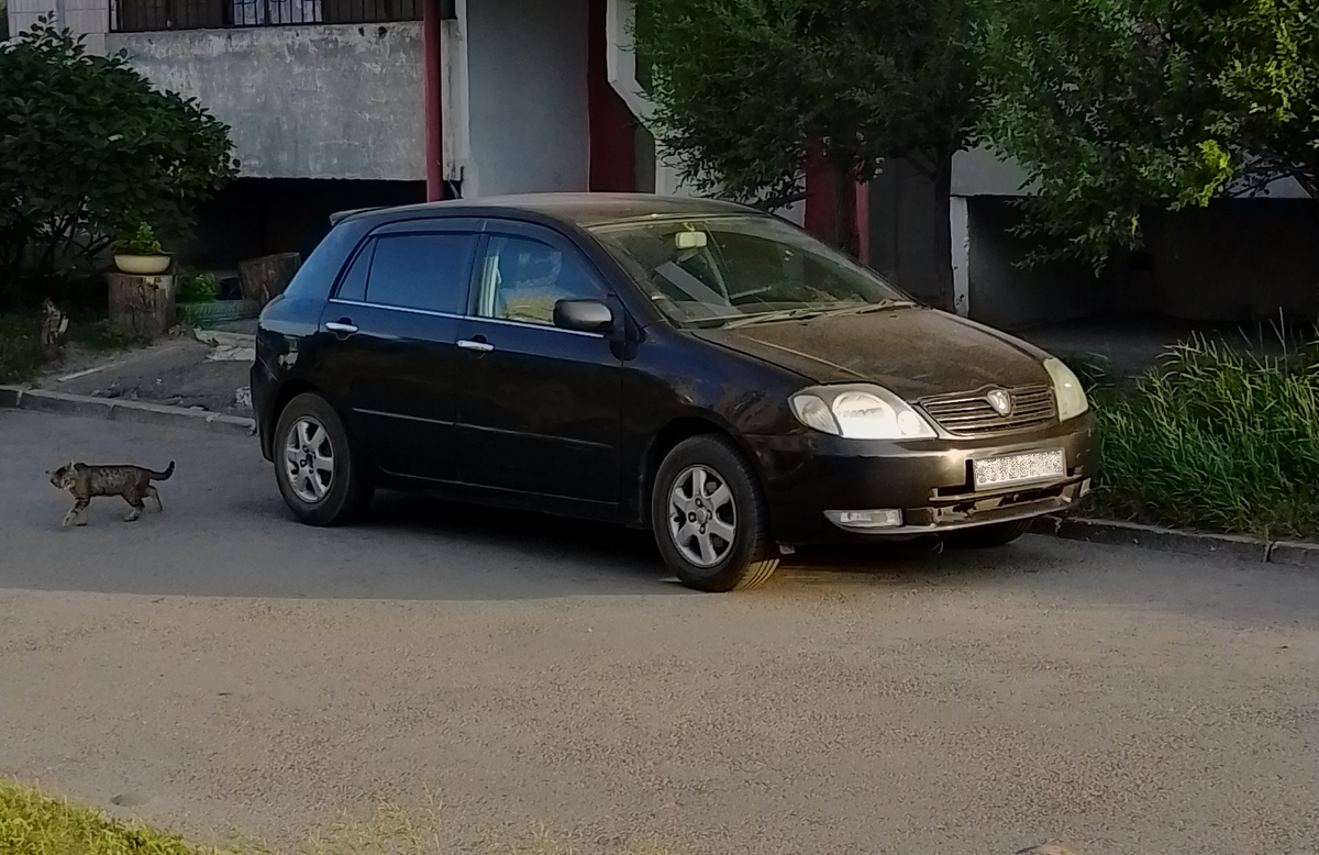 Мой новый старый Тойота Аллекс