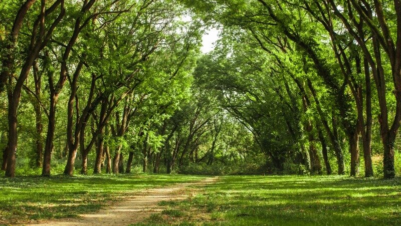 Фото: @oksix / ru.freepik.com
