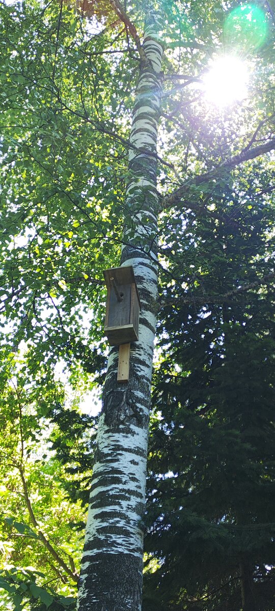 С утреца по быстрому,ага!