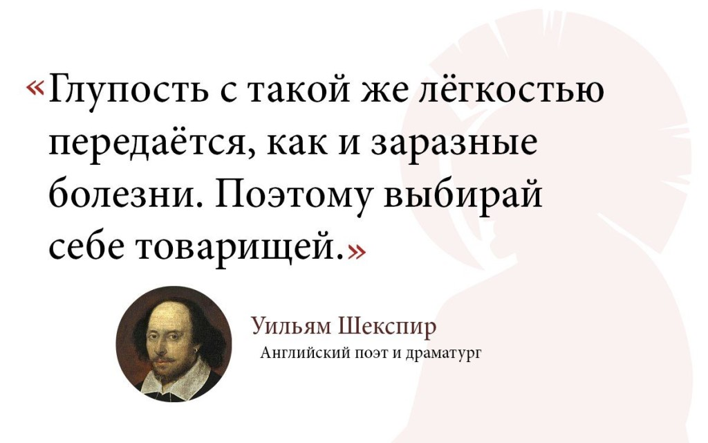 Глупая литература. Глупые афоризмы. Высказывания о глупых людях. Цитаты про глупых людей. Афоризмы про глупых людей.