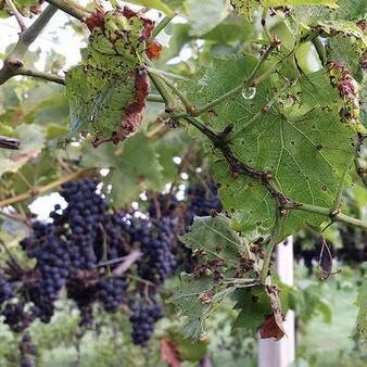 Все фото взяты из интернет-источников