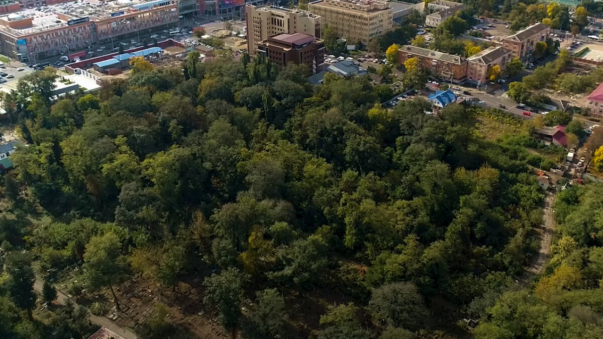 Мистическое Всесвятское кладбище: между правдой и вымыслом