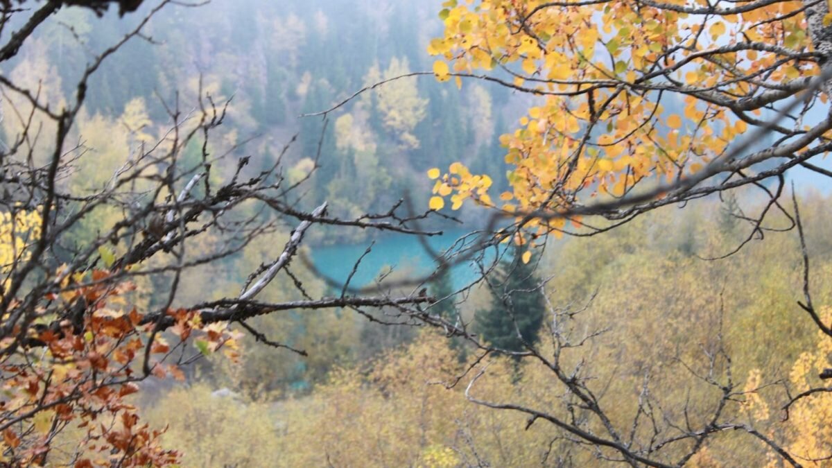    Фото: © Bizmedia.kz Рашид Ахмежанов