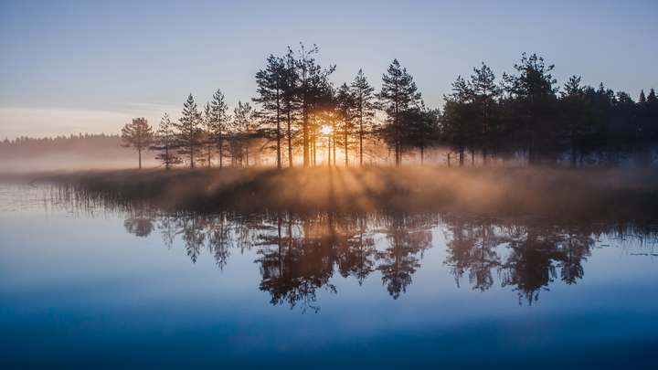 ФОТО: IGOR PODGORNY/GLOBALLOOKPRESS