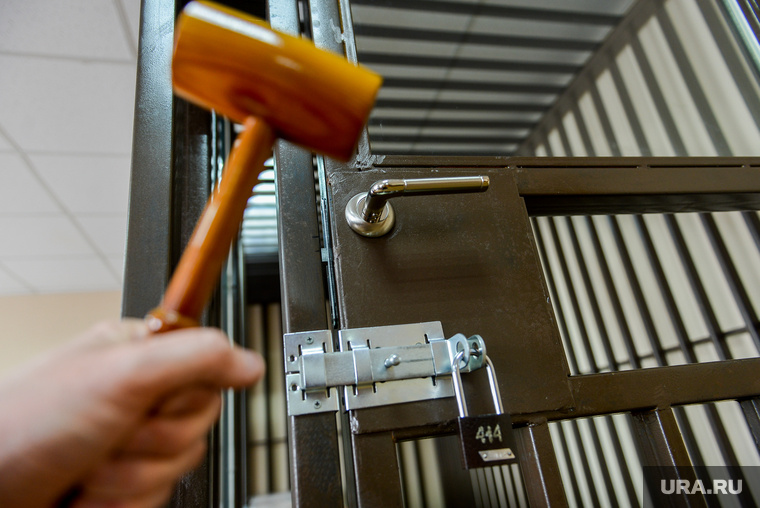    За свое преступление женщина будет отбывать тюремный срок