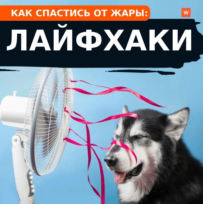 Лайфхак от жары