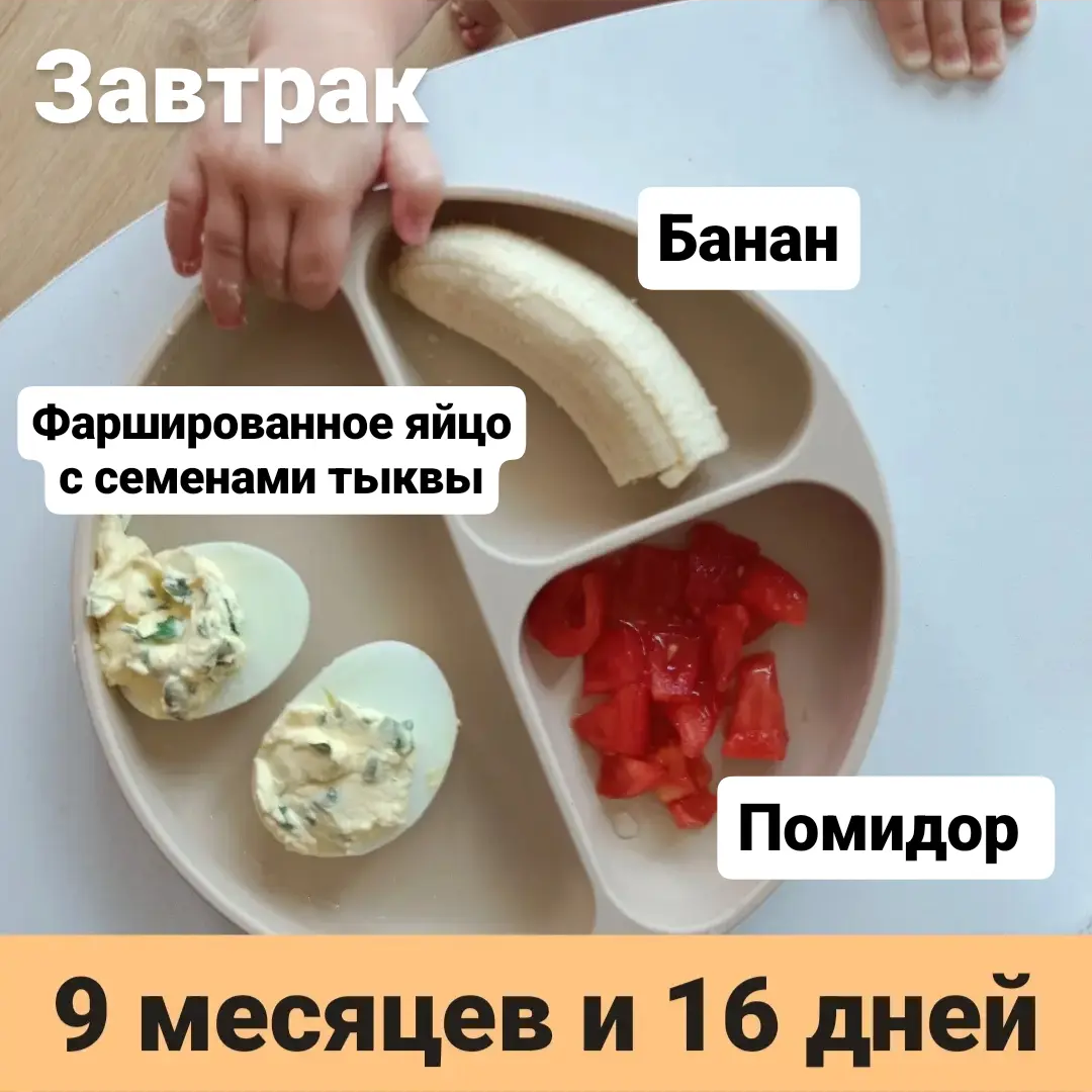 Пример тарелки в 9 месяцев 